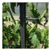 Lot De 6 Attaches Pour Tuteur à Tomate MIKADO 180 Cm - Anthracite / Mosse -Produits De Jardin lot de 6 attaches pour tuteur a tomate mikado 180 cm