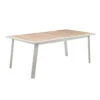 Table De Jardin Pavane Extensible Aluminium Lin 12 Personnes