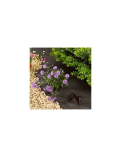 Toile De Paillage 1m X 15 M -Produits De Jardin toile de paillage 1m x 15 m 2