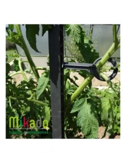 Tuteur à Tomate MIKADO 180 Cm - Vert -Produits De Jardin tuteur a tomate mikado 180 cm vert fonce ou anthracite 1 2